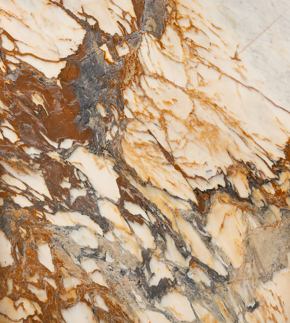 Bianca Foresta - Görsel 3